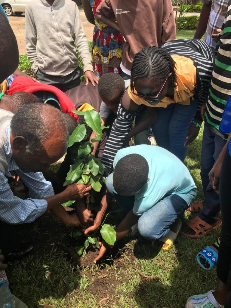 Tree planting