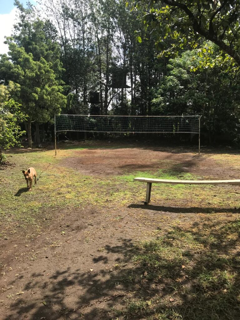 Vollyball 2