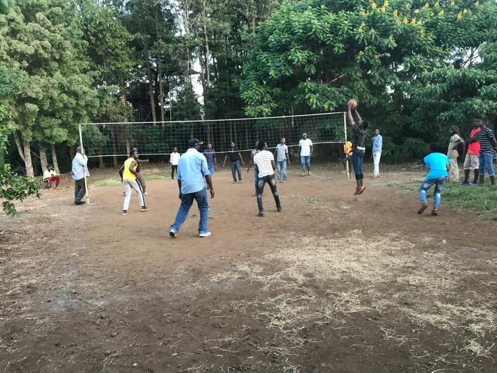 vollyball
